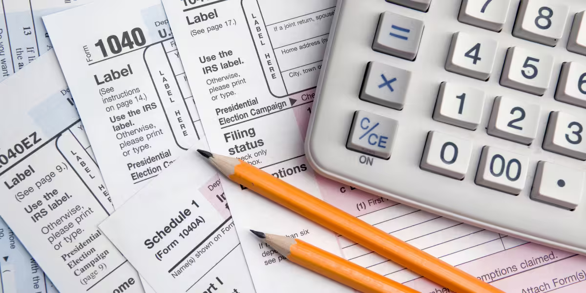 Basiswork Ledgers System