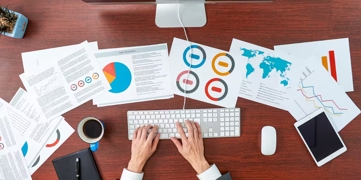 Basiswork Reports System